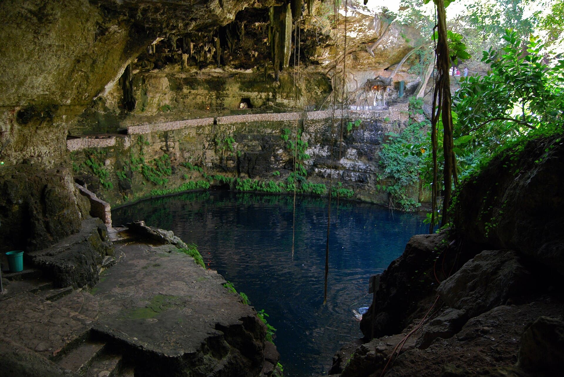 Die offene Cenote Zací in Valladolid, Felswände mit herabhängenden Pflanzen über dunklem Wasser.