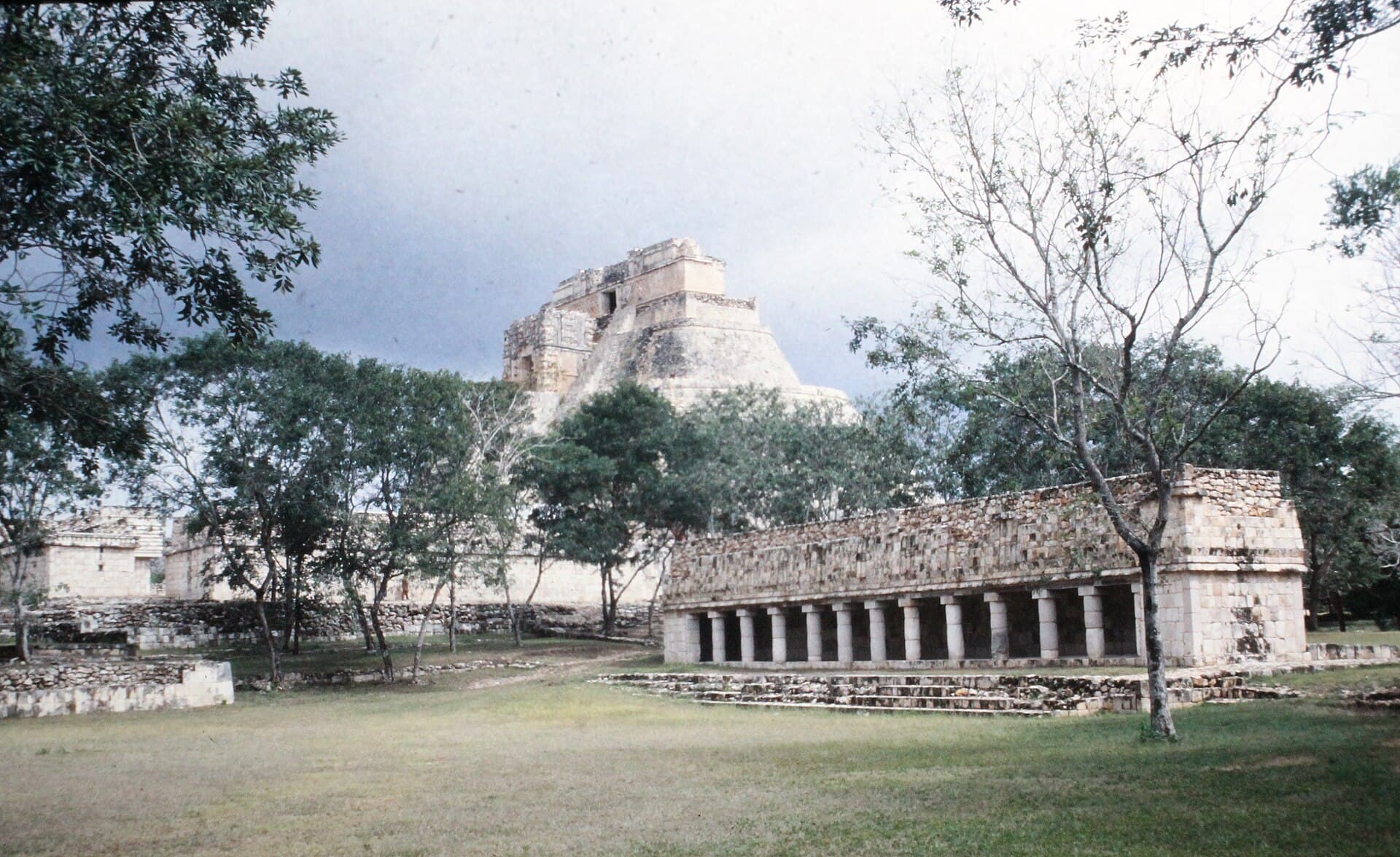 Uxmal'da ağaçların ardında yükselen oval Büyücü Piramidi, önünde oymalı cepheli bir yapı.