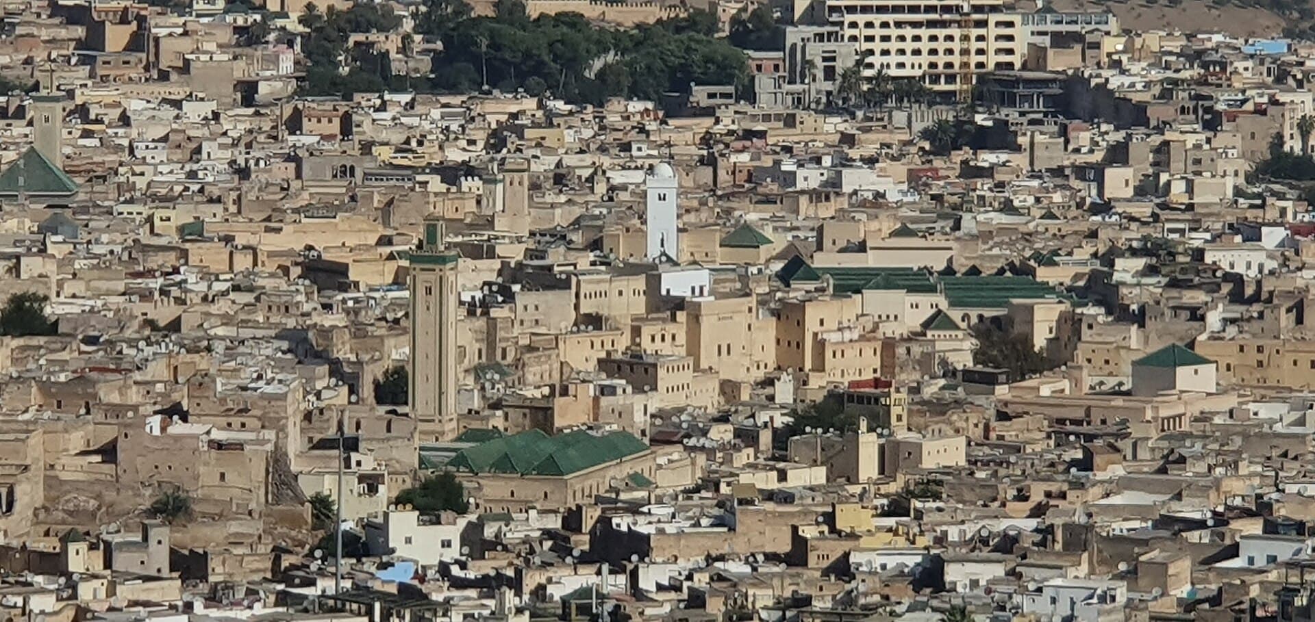 Die dicht gedrängten Dächer von Fès el-Bali, überragt von Minaretten.