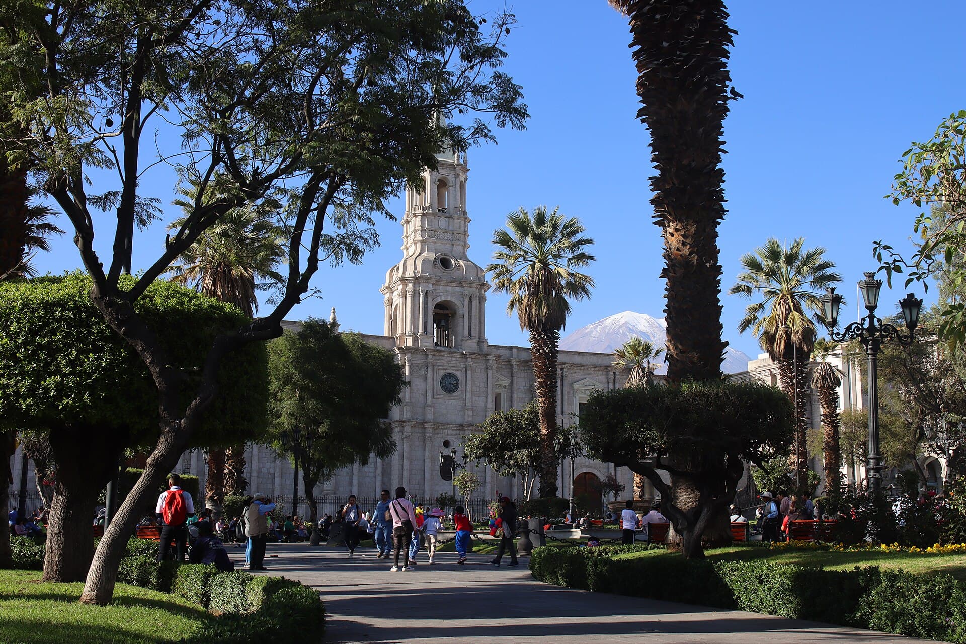 Die Plaza de Armas in Arequipa mit Palmen und Bäumen, dahinter die weiße Kathedrale.