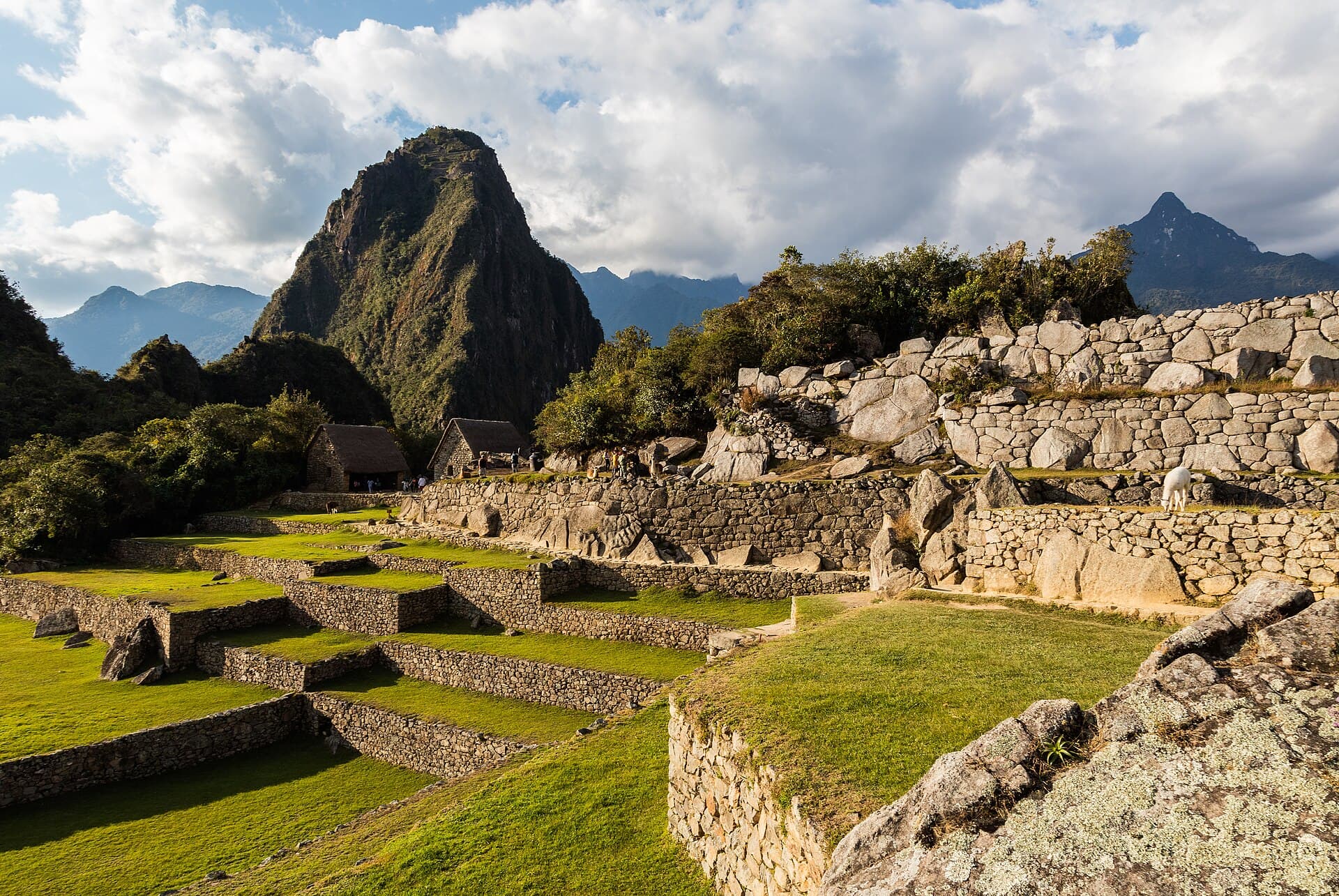 Passgenaue Steinmauern und grasbewachsene Terrassen in Machu Picchu unter bewölktem Himmel.