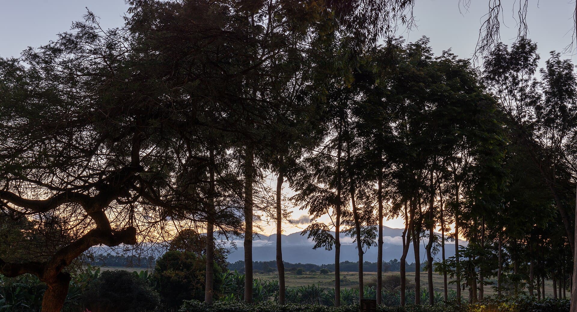 Sunset light on hills in the Ngorongoro Conservation Area.
