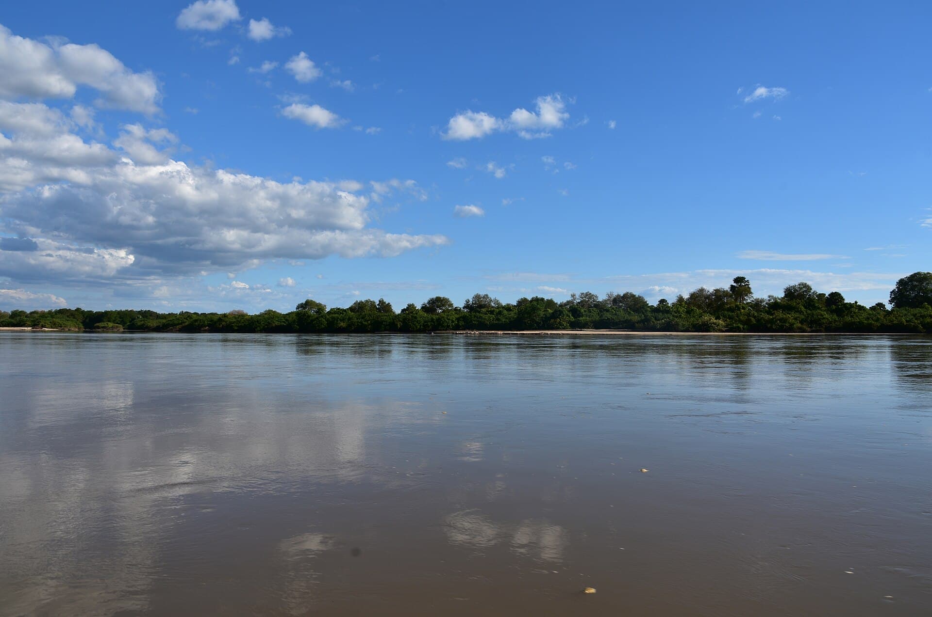 Another Rufiji bend in Selous, river curve through greenery.