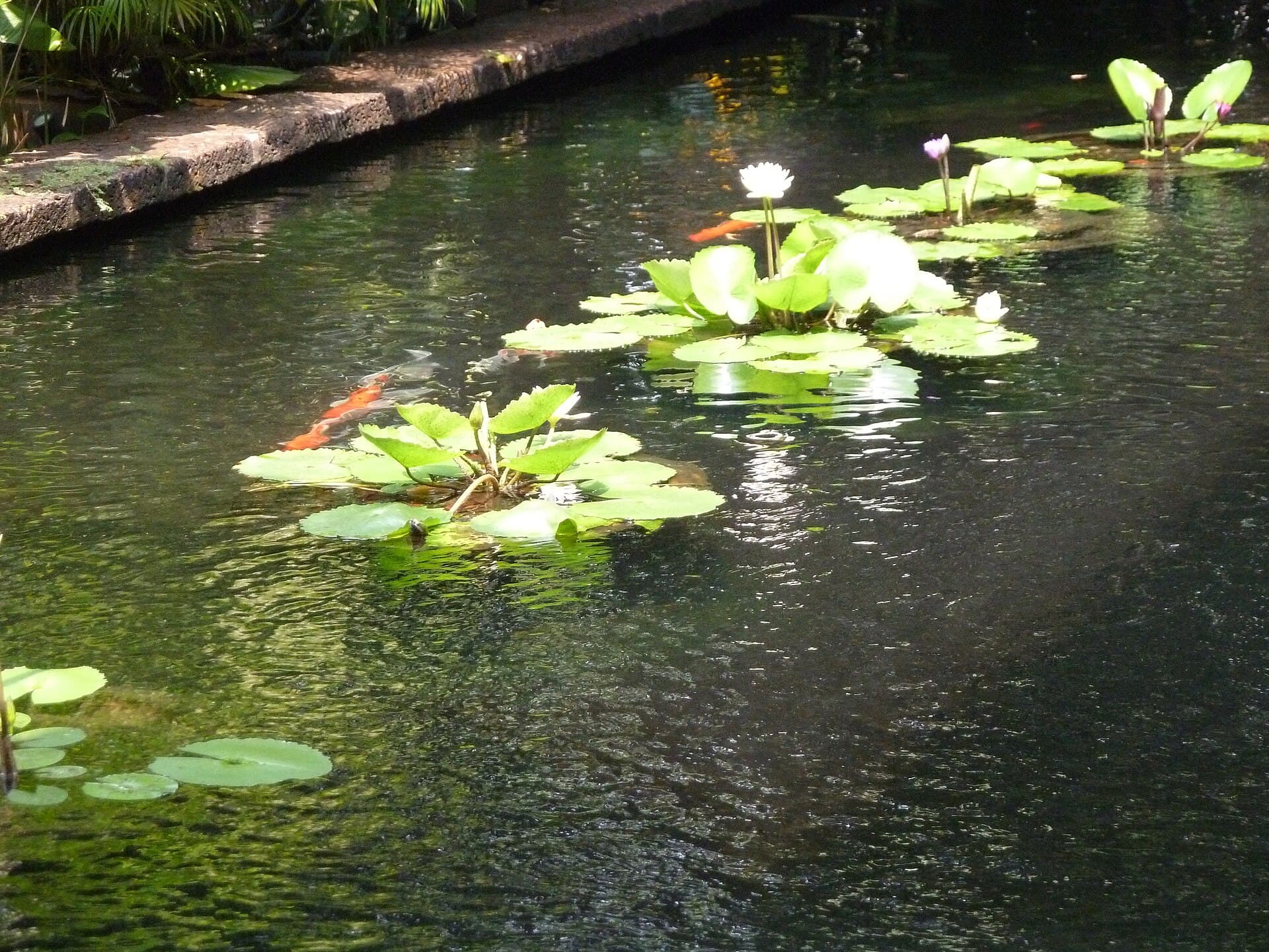 Traditionelle Holzhäuser im Jim-Thompson-Komplex am Khlong.