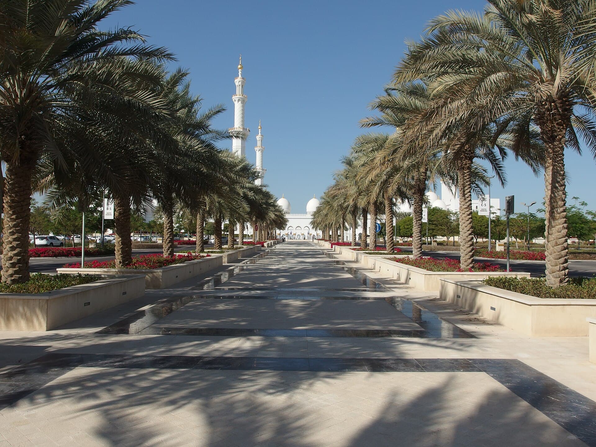 ممر تظلله النخيل نحو مآذن جامع الشيخ زايد الكبير وقبابه البيضاء في أبوظبي.