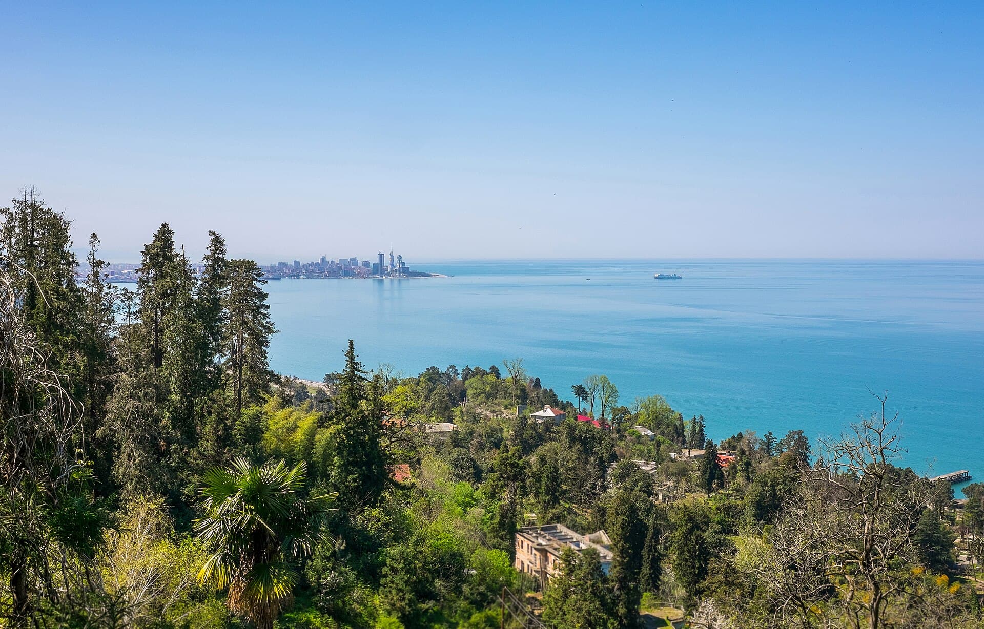 Die Schwarzmeerküste zwischen Bäumen, am Horizont die Türme von Batumi.