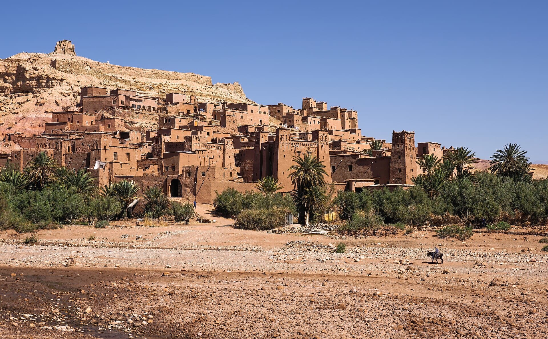قصر آيت بن حدو الطيني على سفح التلة، والنخيل والوادي أمامه.