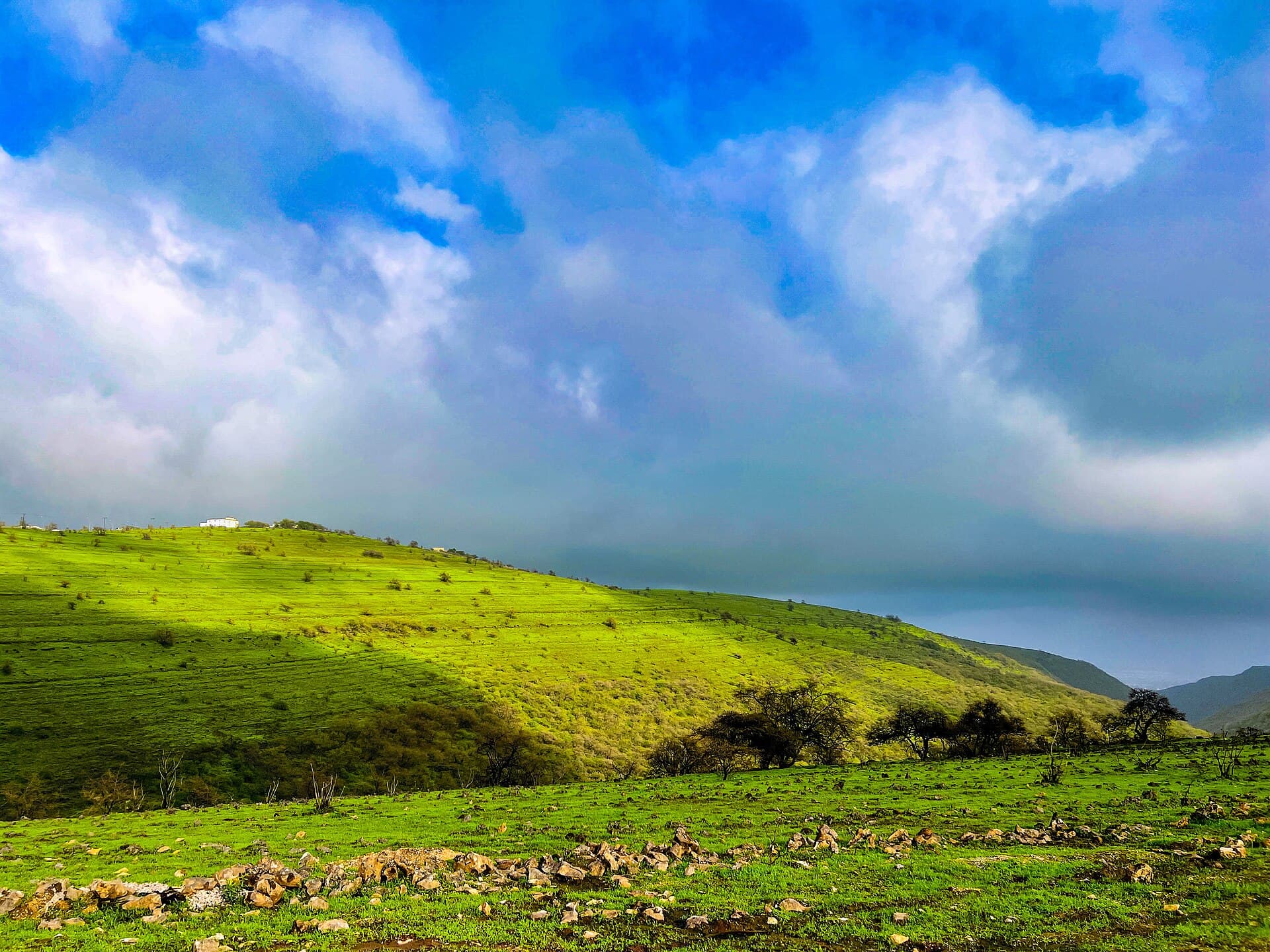 A green meadow under heavy cloud near Salalah in the khareef season.