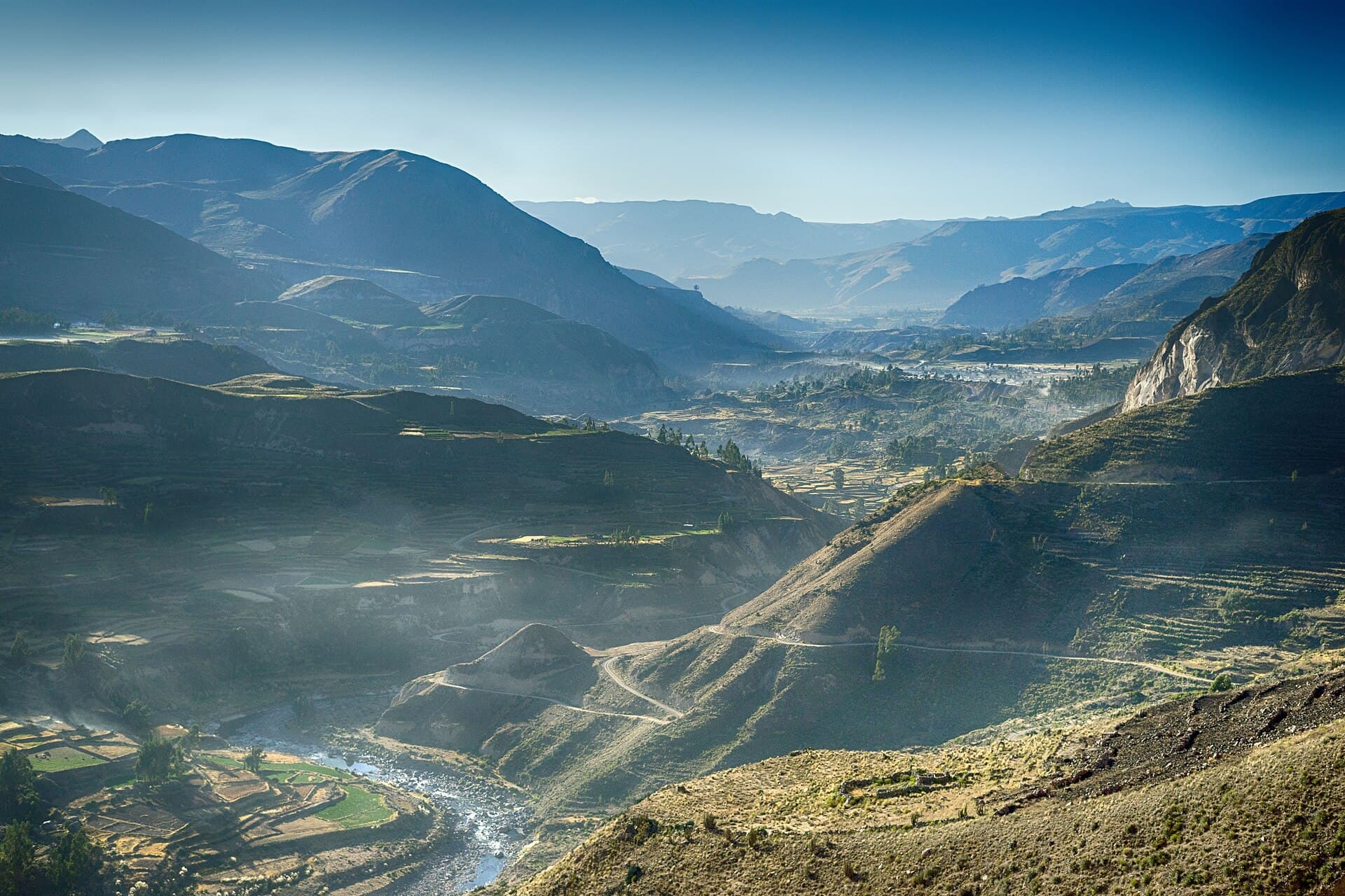Colca Canyon in morning light, terraced slopes and the river far below.